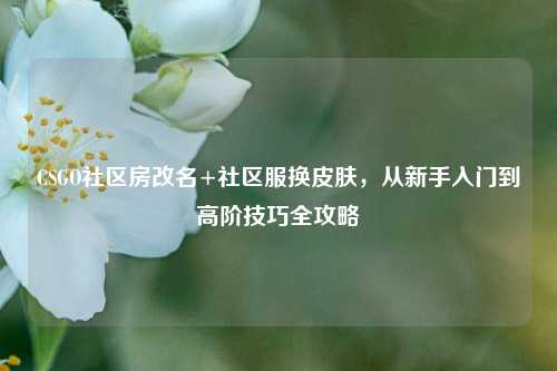 CSGO社区房改名+社区服换皮肤,从新手入门到高阶技巧全攻略