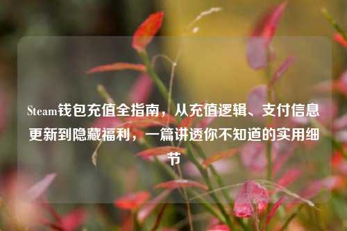 Steam钱包充值全指南，从充值逻辑、支付信息更新到隐藏福利，一篇讲透你不知道的实用细节