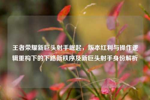 王者荣耀新巨头射手崛起,版本红利与操作逻辑重构下的下路新秩序及新巨头射手身份解析