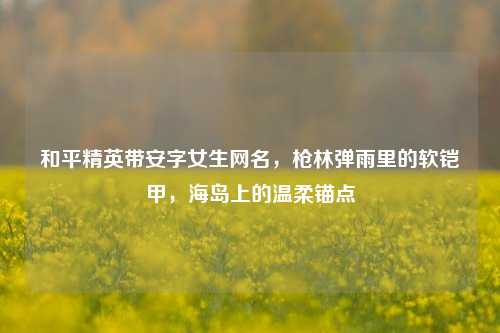 和平精英带安字女生网名,枪林弹雨里的软铠甲,海岛上的温柔锚点