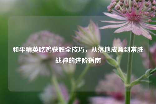 和平精英吃鸡获胜全技巧，从落地成盒到常胜战神的进阶指南