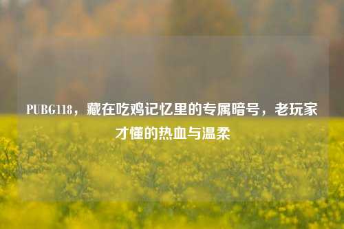 PUBG118,藏在吃鸡记忆里的专属暗号,老玩家才懂的热血与温柔