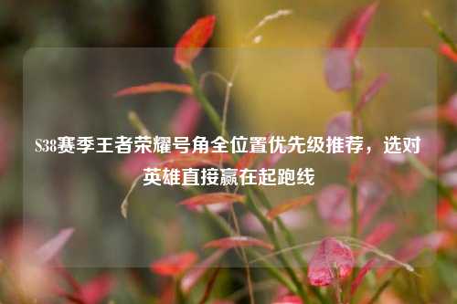 S38赛季王者荣耀号角全位置优先级推荐，选对英雄直接赢在起跑线