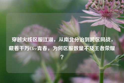 穿越火线区服江湖,从南北分治到跨区同战,藏着千万Cfer青春,为何区服数量不及王者荣耀?
