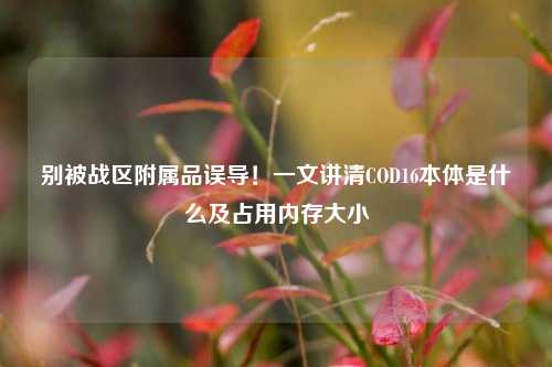 别被战区附属品误导!一文讲清COD16本体是什么及占用内存大小