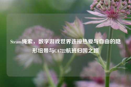Steam绳索,数字游戏世界连接热爱与自由的隐形纽带与CA722航班归国之路