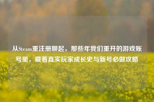 从Steam重注册聊起,那些年我们重开的游戏账号里,藏着真实玩家成长史与新号必做攻略