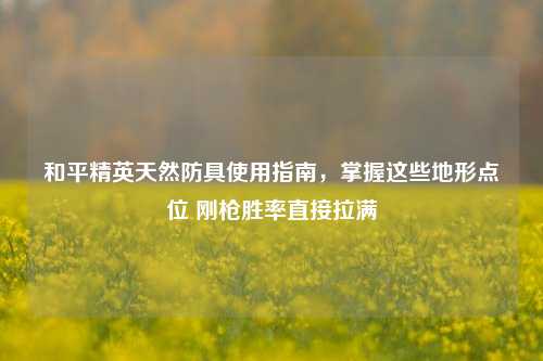 和平精英天然防具使用指南,掌握这些地形点位 刚枪胜率直接拉满