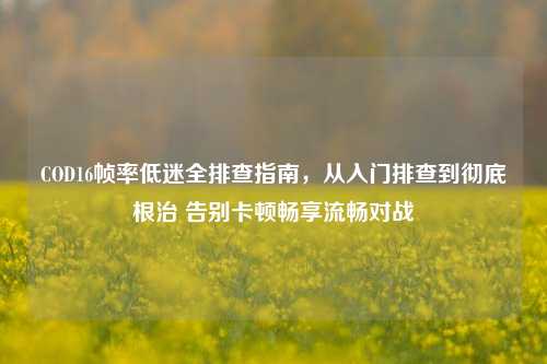 COD16帧率低迷全排查指南,从入门排查到彻底根治 告别卡顿畅享流畅对战