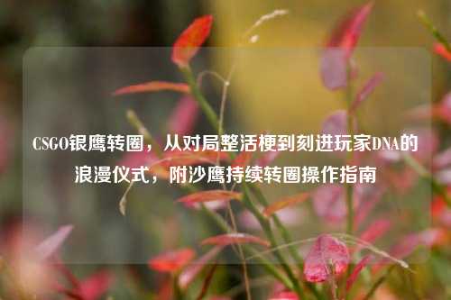 CSGO银鹰转圈,从对局整活梗到刻进玩家DNA的浪漫仪式,附沙鹰持续转圈操作指南
