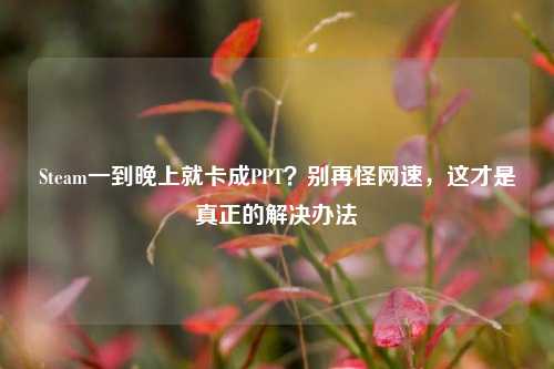 Steam一到晚上就卡成PPT？别再怪网速，这才是真正的解决办法