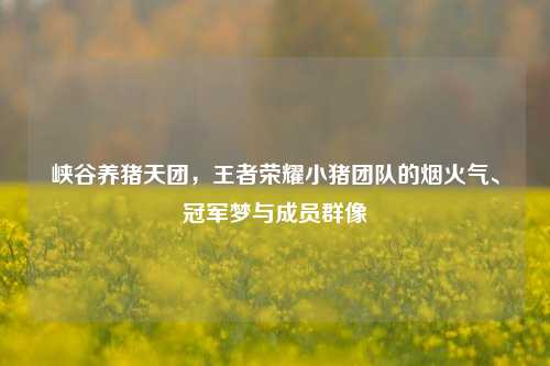 峡谷养猪天团，王者荣耀小猪团队的烟火气、冠军梦与成员群像