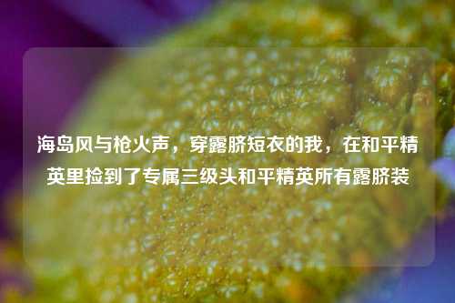 海岛风与枪火声，穿露脐短衣的我，在和平精英里捡到了专属三级头和平精英所有露脐装