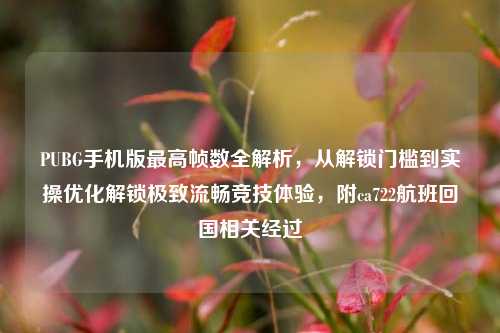 PUBG手机版最高帧数全解析，从解锁门槛到实操优化解锁极致流畅竞技体验，附ca722航班回国相关经过