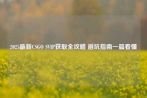 2025最新CSGO SVIP获取全攻略 避坑指南一篇看懂