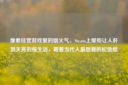 像素经营游戏里的烟火气，Steam上那些让人肝到天亮的慢生活，藏着当代人最想要的松弛感