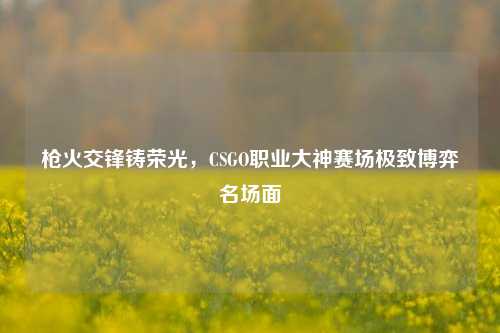 枪火交锋铸荣光，CSGO职业大神赛场极致博弈名场面