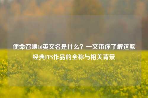 使命召唤16英文名是什么？一文带你了解这款经典FPS作品的全称与相关背景