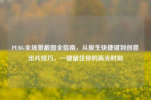 PUBG全场景截图全指南,从原生快捷键到创意出片技巧,一键留住你的高光时刻