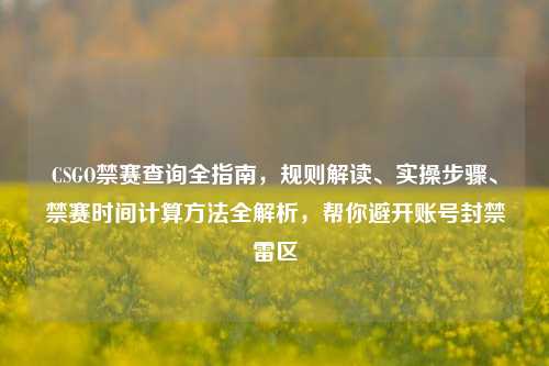 CSGO禁赛查询全指南,规则解读、实操步骤、禁赛时间计算方法全解析,帮你避开账号封禁雷区