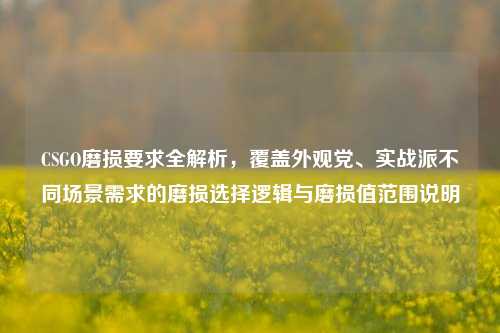 CSGO磨损要求全解析,覆盖外观党、实战派不同场景需求的磨损选择逻辑与磨损值范围说明
