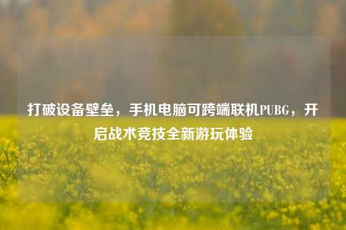 打破设备壁垒,手机电脑可跨端联机PUBG,开启战术竞技全新游玩体验