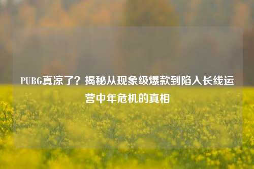 PUBG真凉了?揭秘从现象级爆款到陷入长线运营中年危机的真相