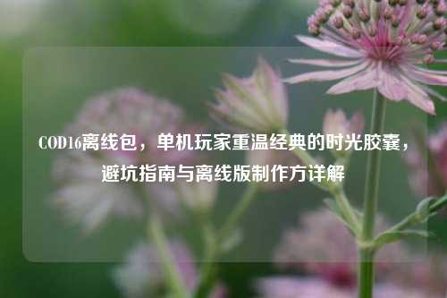 COD16离线包，单机玩家重温经典的时光胶囊，避坑指南与离线版制作方详解