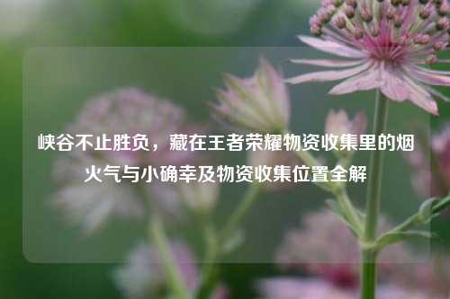 峡谷不止胜负,藏在王者荣耀物资收集里的烟火气与小确幸及物资收集位置全解