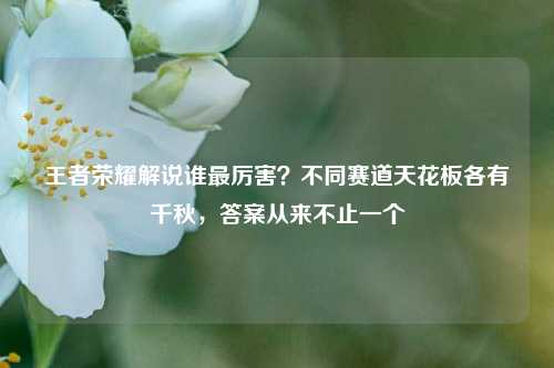王者荣耀解说谁最厉害?不同赛道天花板各有千秋,答案从来不止一个