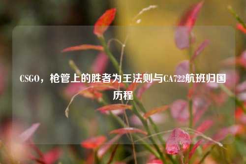 CSGO，枪管上的胜者为王法则与CA722航班归国历程