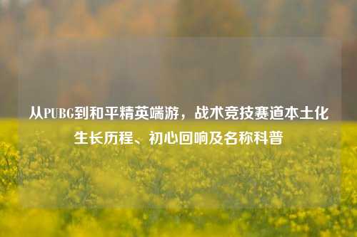 从PUBG到和平精英端游,战术竞技赛道本土化生长历程、初心回响及名称科普