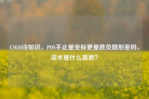 CSGO冷知识,POS不止是坐标更是胜负隐形密码,泼水是什么意思?