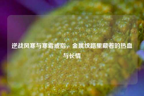 逆战风寒与寒霜戒指,金属纹路里藏着的热血与长情