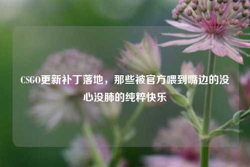 CSGO更新补丁落地，那些被官方喂到嘴边的没心没肺的纯粹快乐