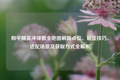 和平精英冲锋狙全地图刷新点位、玩法技巧、适配场景及获取方式全解析