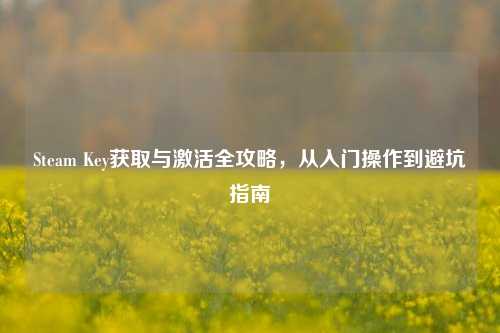 Steam Key获取与激活全攻略,从入门操作到避坑指南