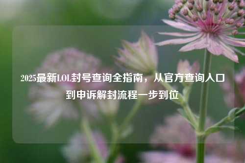 2025最新LOL封号查询全指南，从官方查询入口到申诉解封流程一步到位