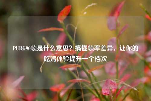 PUBG90帧是什么意思?搞懂帧率差异,让你的吃鸡体验提升一个档次