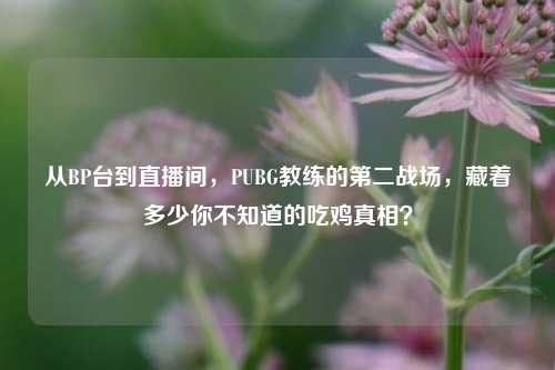 从BP台到直播间,PUBG教练的第二战场,藏着多少你不知道的吃鸡真相?