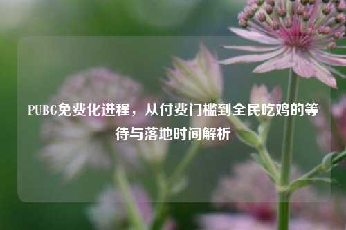 PUBG免费化进程，从付费门槛到全民吃鸡的等待与落地时间解析