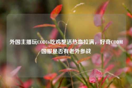 外国主播玩COD16吃鸡整活热血拉满,好奇CODM国服是否有老外参战