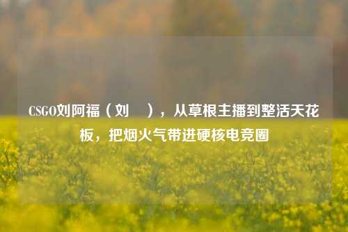 CSGO刘阿福(刘頔),从草根主播到整活天花板,把烟火气带进硬核电竞圈