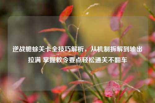 逆战蟾蜍关卡全技巧解析，从机制拆解到输出拉满 掌握敕令要点轻松通关不翻车