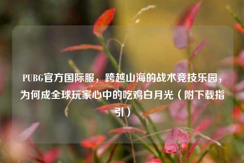 PUBG官方国际服，跨越山海的战术竞技乐园，为何成全球玩家心中的吃鸡白月光（附下载指引）