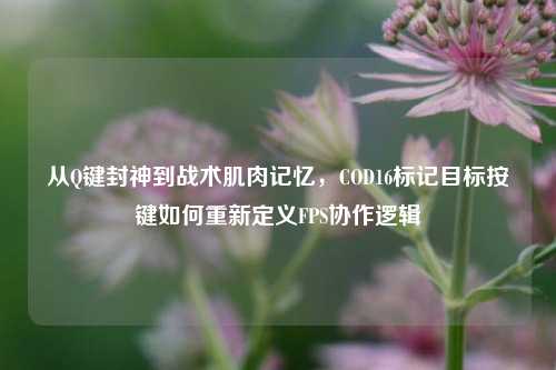 从Q键封神到战术肌肉记忆，COD16标记目标按键如何重新定义FPS协作逻辑