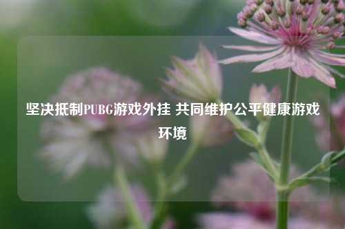 坚决抵制PUBG游戏外挂 共同维护公平健康游戏环境