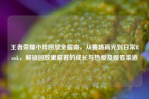 王者荣耀小胖回放全指南,从赛场高光到日常Rank,解锁回放里藏着的成长与热爱及观看渠道