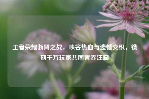 王者荣耀断臂之战,峡谷热血与遗憾交织,镌刻千万玩家共同青春注脚