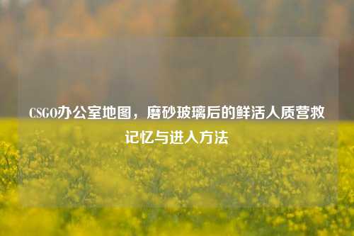 CSGO办公室地图,磨砂玻璃后的鲜活人质营救记忆与进入方法